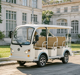 燃油觀光車(chē)