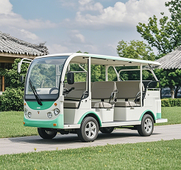 燃油觀光車(chē)2.png